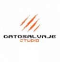 Gato Salvaje Studio